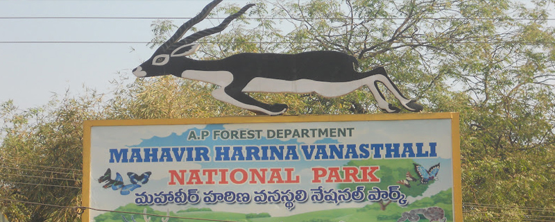 Mahavir Harina Vanasthali National Park 
